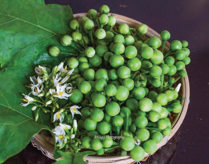 Website-Eden-blend-update-45